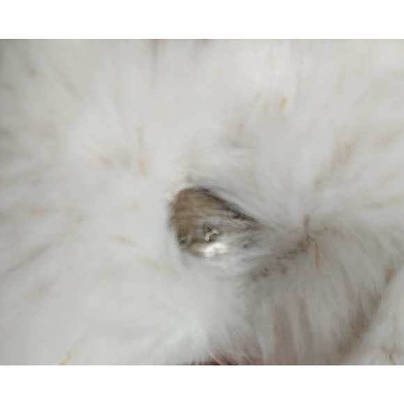 FAO Schwarz Sparklers Teddy Bear 10 Inch, Soft Plush, White NWT - Picture 3 of 7